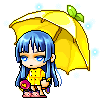 iBonie